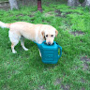 Meet your Posher, Stella p.